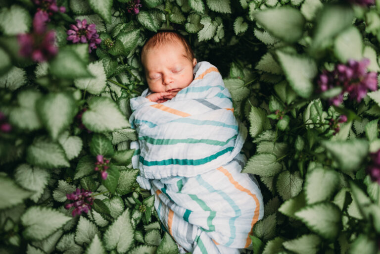 Oliver-newborn-portraits-annapolis-lexi-taciak-14web